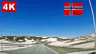 Hardangervidda  Norway Scenic Routes [4k] 🚘🧌🐠🦌🌅🏔️🫎🧌🚘