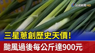 三星蔥創歷史天價！ 颱風過後每公斤達900元