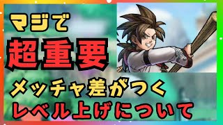 レベル上げや経験値稼ぎ間違ってない？メチャクチャ差がつくレベル上げ方法【ドラクエチャンピオンズ】