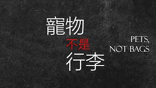 【 寵物不是行李 】狗狗貓貓不能再待在貨艙了! 因為狗狗貓貓是我的家人。台灣首部關注寵物航空運輸安全的紀錄片🗳️