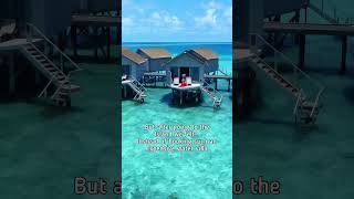 Budget Maldives Trip Ideas😍😃😲