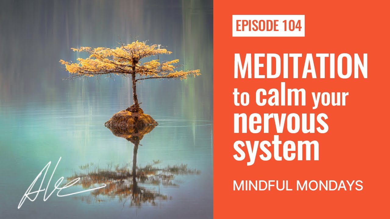 Meditation To Calm Your Nervous System | Everyday Alex 104 | Mindful ...