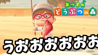 【あつ森】借金にまみれ、たぬきに搾取される無人島生活。始めました。【あつまれどうぶつの森】