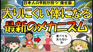 【ゆっくり解説】太らない体の作り方！日本人の9割以上が持っている「痩せ菌」の正体