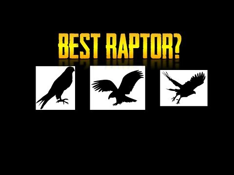 The Raptor Tier List The Raptor Tier List