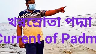 খরস্রোতা পদ্মা। current of Padma. #travelersguide #padma #bank_of_padma #travelers_guide