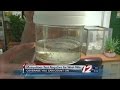 RI Mosquitoes Test Negative for EEE, West Nile Virus