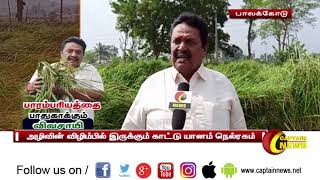 பாலக்கோடு | அழிவின் விழிம்பில் இருக்கும் பாரம்பரிய நெல் ரகத்தை காத்து வரும் தருமபுரி விவசாயி