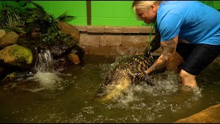 GIANT GATORS, HUGE LIZARDS AND BITTEN BY A VENOMOUS SNAKE! GATORLAND IN THE HOUSE!! | BRIAN BARCZYK