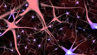 Neurons and What They Do ~ An Animated Guide