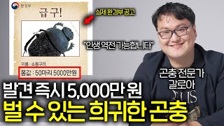 발견만 하면 인생 떡상할 수 있는 희귀 곤충들 ㅋㅋㅋ