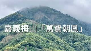 2024.9.28 嘉義梅山「萬鷺朝鳳」