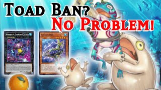 Upgrading Rank 4 Sharks for the Latest Banlist +Toad Memorial  - Yugioh MasterDuel Ranked Decklist