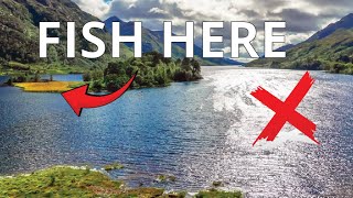 How to Find Trout in Lakes [This Works Everywhere!]