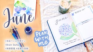 バレットジャーナル６月のセットアップ🐌水彩ペンでおしゃれ手帳作り | June 2022 Bullet Journal Setup + May Filip Trough