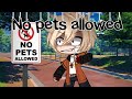 ||MEME|| No pets allowed //GC// {BNHA} !! NOT A SHIP !! (🥦🔥❄)