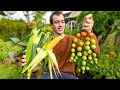 How much food can I grow in one summer? - Final harvests and cooking with fresh fruit and vegetables