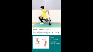 【股関節と膝関節の柔軟性を高める】腸腰筋と大腿四頭筋のストレッチ #shorts #ストレッチ