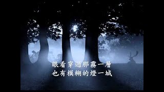 劉文正-夜歸人