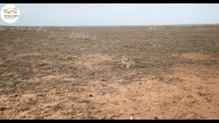 Приоткрывая заповедные двери... Дела житейские