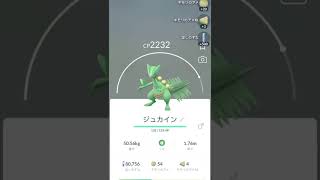 【ポケモンGO】GETされて3秒で解雇されるジュカインw