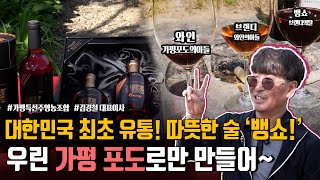 [우리동네 술도가] 따뜻하게 마시는 술 '뱅쇼!' 대한민국 최초 유통에, 가평 포도로만 만든다구요? (feat. 가평특선주영농조합)