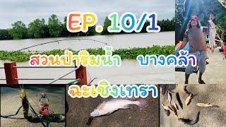 ตกปลา.EP. 10/1 สวนป่าริมน้ำ บางคล้า ฉะเชิงเทรา#ตกปลาบางประกง