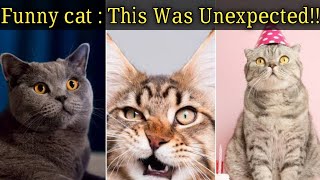 Funny cat : This Was Unexpected!!