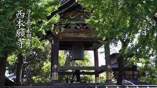 【真宗教団連合】宗派紹介 浄土真宗本願寺派 西本願寺　#ごえんさんエキスポ