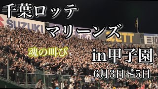 【甲子園マリーンズ応援3日間まとめ📣】阪神対ロッテ