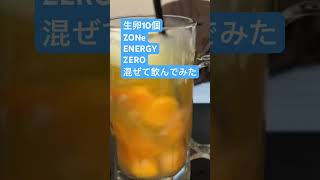 生卵10個ZONeENERGYZERO混ぜて飲んでみた515日目