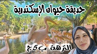 ارخص فسحة#اسكندرية_اليوم|النزهة والملاهي و السفاري