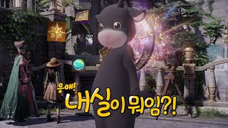 [로스트아크] 2분만에 보는 내실의 모든 것