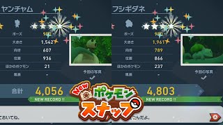 ヤンチャム フシギダネ 星4 ダイア【Newポケモンスナップ】