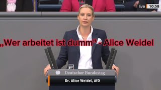 Wer arbeitet ist dumm! -Dr. Alice Weidel von der AfD