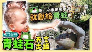 【新竹尖石】寶寶第一次和動物Give me 5就獻給青蛙了！全台唯一透明玻璃景觀步道、近距離看瀑布美景的青蛙石天空步道！Ninggie 育遊經