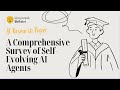 A Comprehensive Survey of Self-Evolving AI Agents