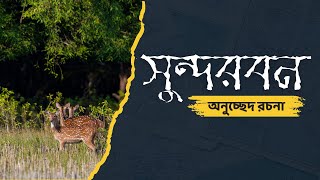 সুন্দরবন অনুচ্ছেদ রচনা | SSC পরীক্ষার জন্য অনুচ্ছেদ রচনা সুন্দরবন | Sundarbans Onucched for SSC Exam