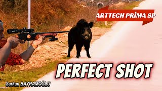 SUPER SHOOTING WITH ARTTECH PRIMA SP / SÜPER ÇEKİM