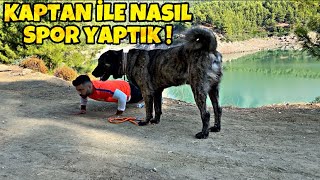 ÇAPAR ANADOLU ÇOBAN KÖPEĞİ KAPTAN İLE GÖL KENARINDA SPOR YAPTIK !