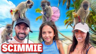 VLOGVI! INCONTRIAMO PER LA PRIMA VOLTA LE SCIMMIE AI CARAIBI!