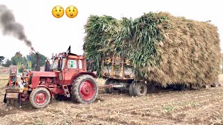 Belarus 510 Most Powerful Tractor Pulled out Heaviest Trailer MF 375 Together