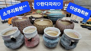 3월3일♡봉봉이네화분#수제공방분#오늘은 란다자리공방분입니다~5만이상택배무료