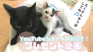 【プレゼント企画！！YouTubeショート開設記念】★応募詳細♪