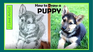 HOW TO DRAW A PUPPY EASY STEP BY STEP FOR BEGINNERS: German Shepherd Puppy Drawing in Graphite