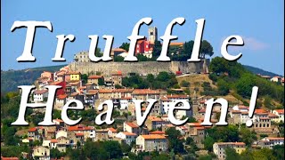 Motovun, Croatia Guide!