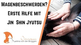 Erste Hilfe bei Magenbeschwerden für Hund und Katz!