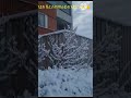 shortvideo በካናዳ በካናዳ snow in canada