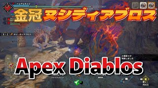 [MHRise] ヌシディアブロス金冠確定クエスト [ガンランス]