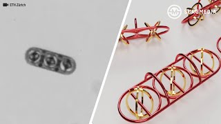 Microrobots Can - and will - Change the Field of Medicine in the Near Future